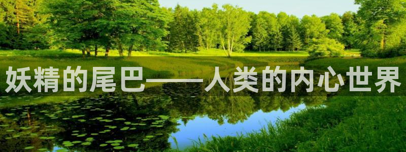 喵趣漫画复活版：妖精的尾巴——人类的内心世界