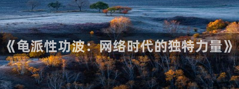 喵趣漫画复活了吗：《龟派性功波：网络时代的独特力量》